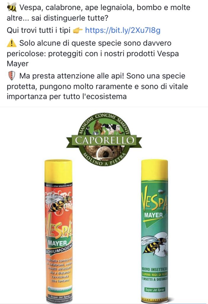 esempio campagna facebook