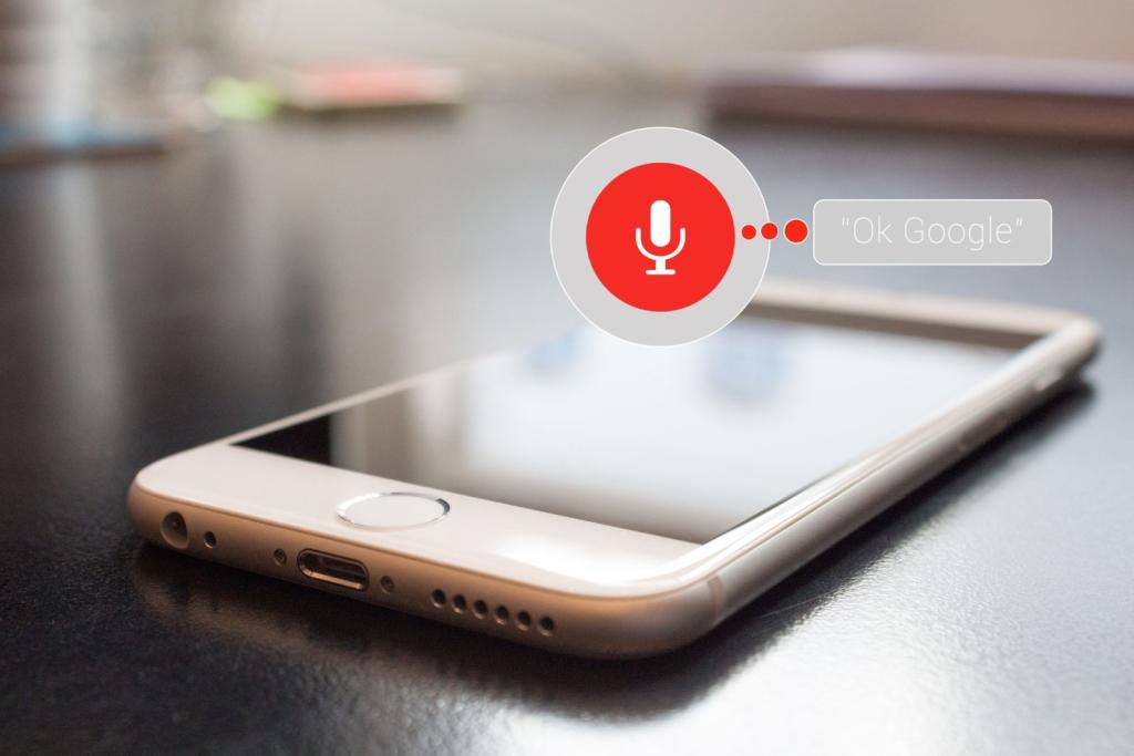 voice control di google