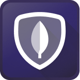 icona MongoDB