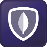 icona MongoDB