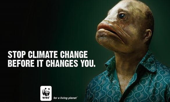 esempio paura nel marketing da wwf