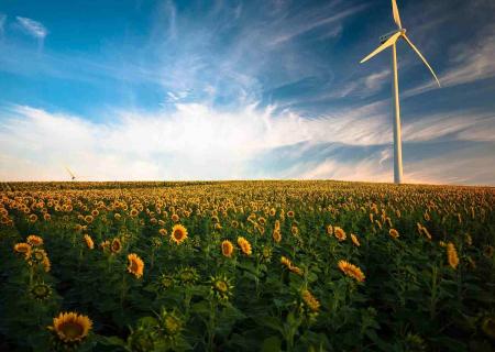 5 Startup Green in Italia che ti aiuteranno a sostenere l'ambiente